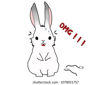 White Rabbit have Gray Ear is shocked