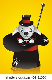 white rabbit in a illusionist hat