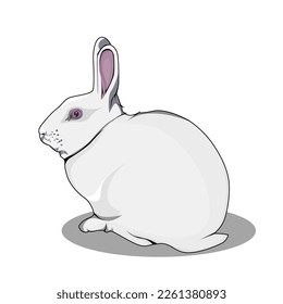 white rabbit illustration for stickers