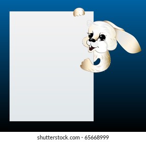 White rabbit looking out of blank sheet of paper.