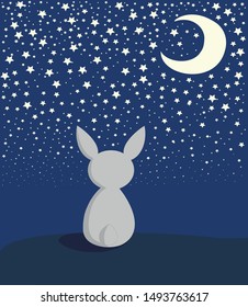 white rabbit looks at the night sky with stars and moon.