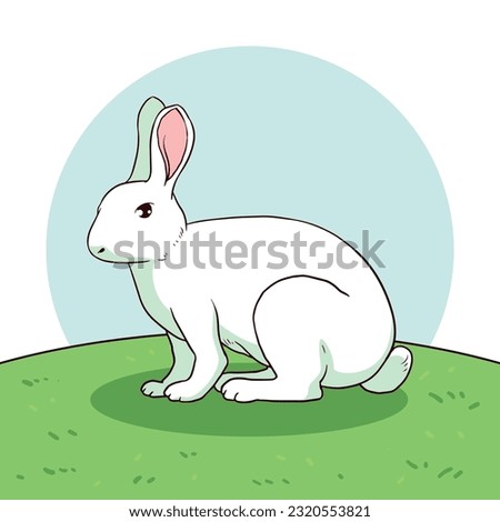 A white rabbit in the meadow.