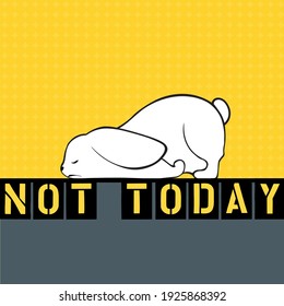 white rabbit not today sleep