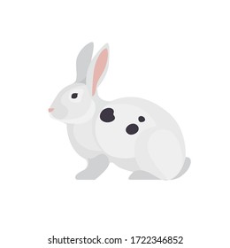 White rabbit on white background. Farm animals collection.