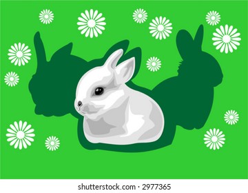 The white rabbit on a green background with flowers and a shadow.