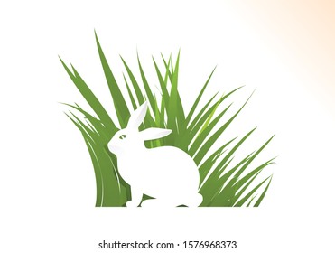 A white rabbit on the green grass vector 