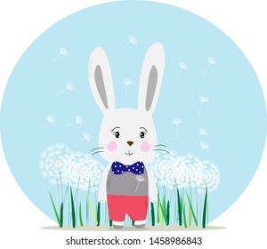 White rabbit in red pants on a field of dandelions
