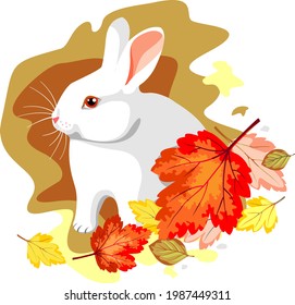 White rabbit sitting in autumn leaves