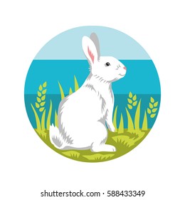 White rabbit sitting on a meadow. Vector Image. Animal on a round background