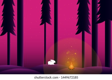 white rabbit sleeping at night in the wild