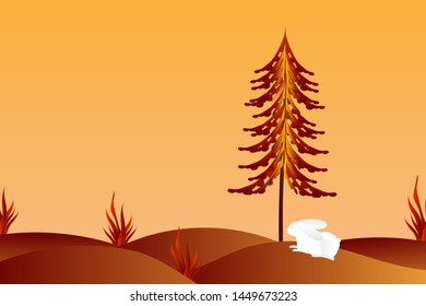white rabbit sleeping at night in the wild