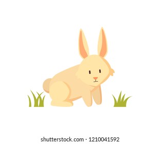 White rabbit small furry creature as farm animal or pet depiction isolated on white. Cartoon illustration for children book or agriculture magazine.