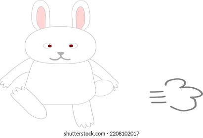 White Rabbit Standing And Walking