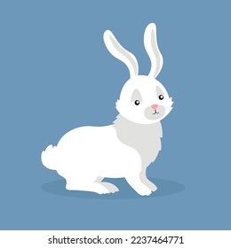 White rabbit stands on four legs