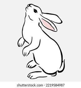 The White Rabbit stands on its hind legs and looks up. Vector illustration. Black and white ink line drawing. Linear drawing. Hand drawn vector image. Chinese New Year 2023 symbol.