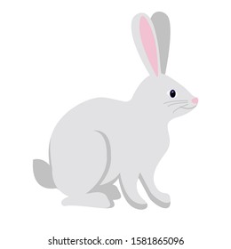 White Rabbit Vector Bunny Illustration Stock Vector (Royalty Free ...