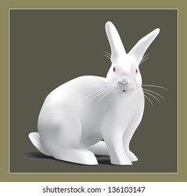 White rabbit vector illustration