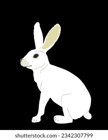 White rabbit vector illustration isolated on black background. Rodent animal symbol. Easter holiday symbol. Hare cute herbivore.