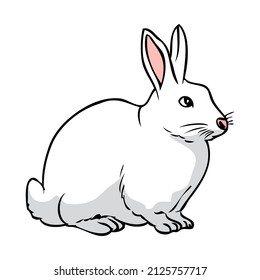 white rabbit vector illustration,isolated on white background,top view