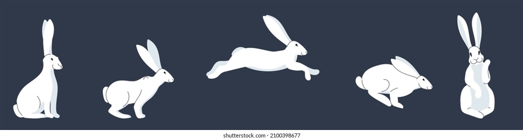 
White rabbits on a dark background. Rabbit in a single pose, sitting, jumping. waving her paw. Flat vector illustration