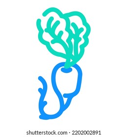 vector de icono de color de rábano blanco. signo de rábano blanco. ilustración de símbolo aislado