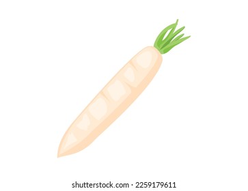 White radish. Simple flat illustration.