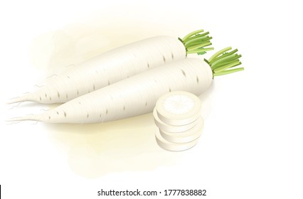 white radish vector illustration with radish pieces