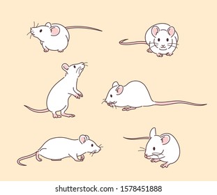 White rat character in various poses. hand drawn style vector design illustrations. 