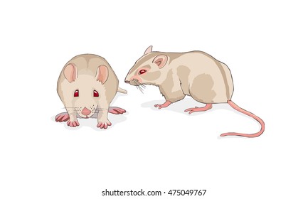 White rat isolated on white background. Icons with laboratory mice. Vector. 
