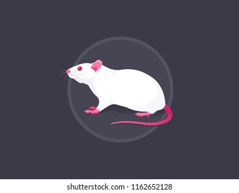White Rat isolated on a gray background. Vector flat illustration.