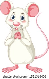 White rat on white background illustration