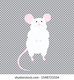 White rat with pink ears and a tail. the symbol of the Chinese New Year 2020. Laboratory animal