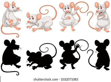 White rats in four actions illustration