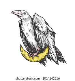 White raven sitting on the moon. Crescent and crow. Graphic original illustration. It can be used for printing on t-shirts, postcards, or used as ideas for tattoos.