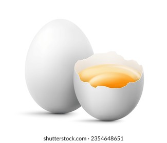 White raw eggs, whole and broken egg half with a yolk isolated on a white background. White сhicken egg smashed. Healthy diet. Realistic 3d vector illustration