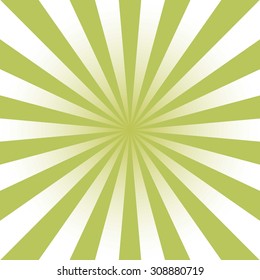 White rays on green background. Vector. Background. Illustration. EPS10