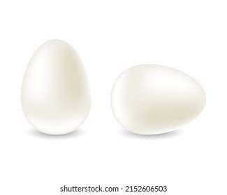 White realistic egg. Chicken egg on a white background. Template for Easter holiday