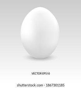 White realistic egg. Chicken egg with shadow. Mockup. 3D template. Close up. Vector illustration.  EPS 10.