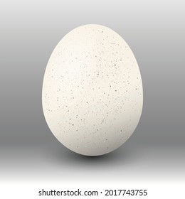 White realistic egg over dark background. Vector EPS10 illustration.