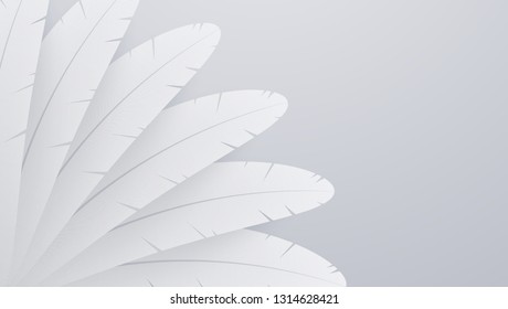 White realistic feather background. Abstract composition.