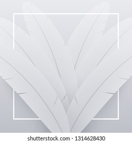 White realistic feather background. Abstract composition.