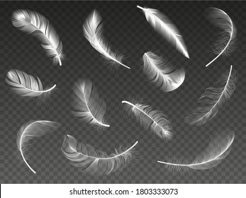 White realistic feather. Fluffy angel twirled feathers, 3d bird feather, swan or dove wings plumage isolated vector illustration icons set. Realistic white swan and fluffy, feather falling