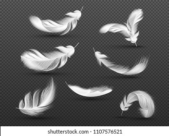 White Realistic Feather Illustration On Transparent Background.