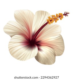 White realistic hibiscus flower. Exotic tropical plant. Vector illustration.