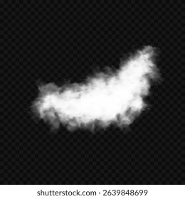 White realistic isolated steam or cloud on transparent background. Cloud, nature sky or food smoke symbol. Weather element or pattern art. Cloud texture, fire smoke wave, foggy nature. Cloud png