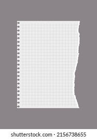 White realistic torn checkered page of notebook, vector illustration isolated on gray background. Empty sheet with torn edge, blank paper page for text