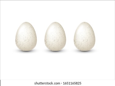 White realistic vector quail eggs with speckles isolated for egg product ad or poster. Isolated illustration.