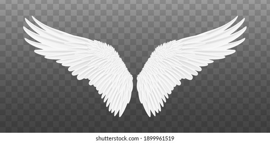 White realistic wings. Pair of white isolated angel style wings with feathers. Vector illustration bird wings design