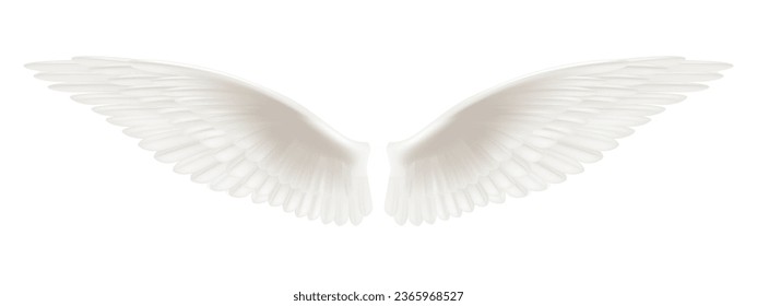 White realistic wings. Pair of white isolated angel style wings with 3D feathers, bird wings design - vector