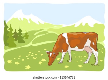 The white and red cow is grazed on the Alpine meadow. Vector illustration.